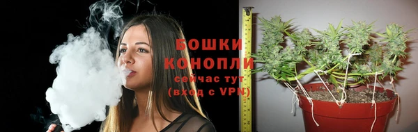 гидра Волосово