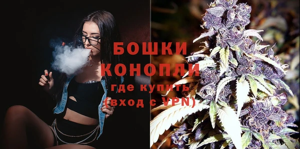 крисы Верхний Тагил