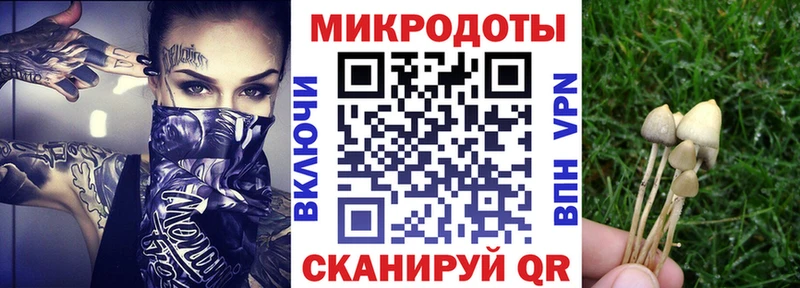 купить  сайты  МЕГА tor  Галлюциногенные грибы Magic Shrooms  Брюховецкая 